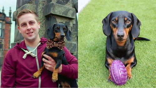 喂狗吃瓜群众视频播放下载,狗狗美食大揭秘