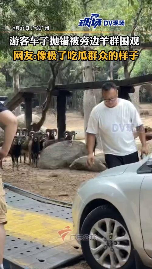 吃瓜群众像极了,揭秘网络时代的“围观者”现象