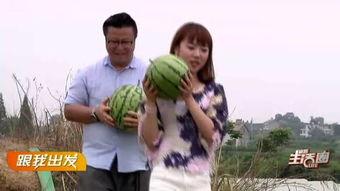 宜昌吃瓜群众图片,揭秘夏日街头文化