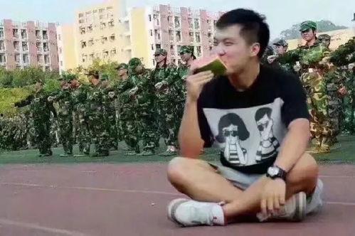 吃瓜群众王甜甜,吃瓜群众的视角，揭秘娱乐圈风云