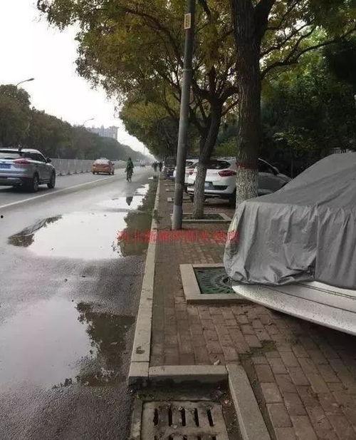 吃瓜群众坐板凳