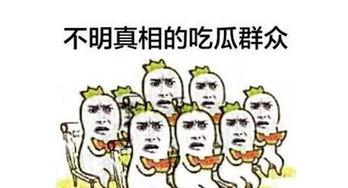 吃瓜群众保险怎么选