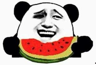 吃瓜群众出现视频,视频内容引发全民关注