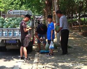 井研县吃瓜群众,吃瓜群众的热议焦点