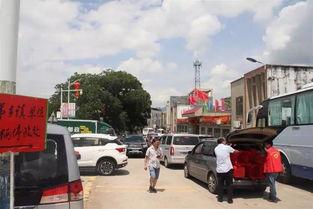 东源县吃瓜群众