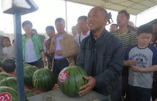 走马村吃瓜群众事件真相,真相背后的社会现象